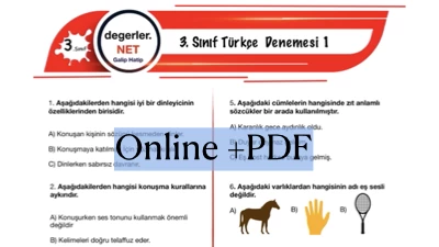 3. Sınıf Online Türkçe Denemesi 1 (Online+PDF)