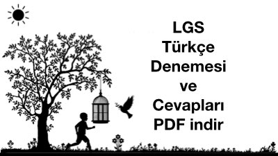 LGS Türkçe Denemesi ve Cevapları PDF indir