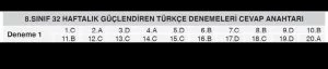 Lgs Türkçe Denemesi