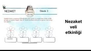 Nezaket veli etkinliği